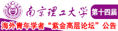 大鸡巴操处女嫩逼的视频南京理工大学第十四届海外青年学者紫金论坛诚邀海内外英才！